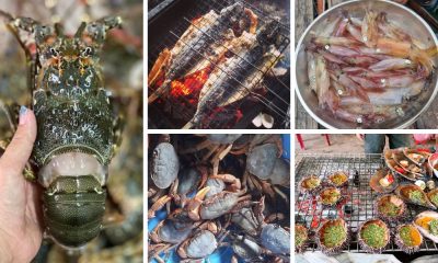 seafood